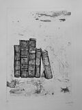 Kupferradierung auf Büttenpapier Bildgröße (Platte): 40 x 30 cm² ... "Bücher vor Heuschrecke" (340)